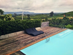 How to Make Your Swimming Pool More Eco-Friendly eco friendly pool