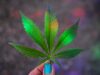 kym mackinnon AEREGo3RQUE unsplash scaled