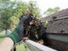 Gutter Cleaning scaled