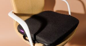 Seat Cushion for Office Chair