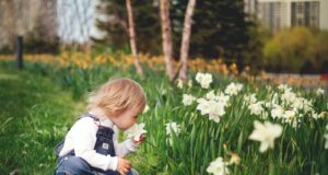 Sensory Garden scaled