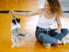 Training Your Pet