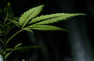 esteban lopez k6g3qSnYIo unsplash 1 scaled