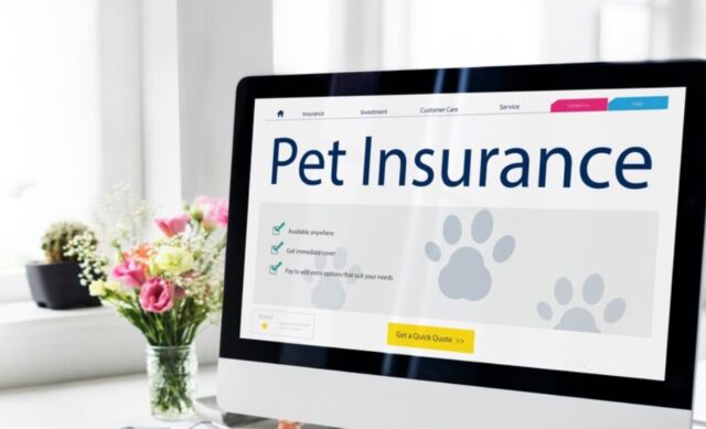 Get Your Pet Insured