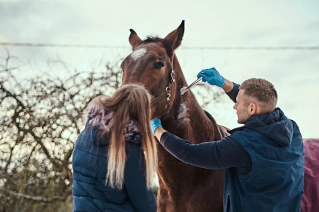 Veterinarian