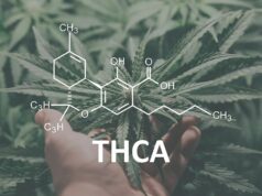 What Is THCA and How Is It Different from THC? thca