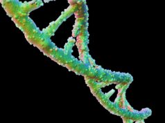 Understanding the Role of DNA: Different Uses of DNA in Our Day-to-Day Lives Understanding the Role of DNA