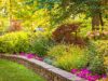 5 Tips for Better Performance From Native Plants on Your Property scaled