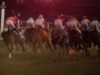 Horse Betting 101