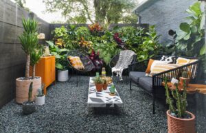 backyard porch area multiple plants 5Ed7C0lJqJ4BCK SfnVeSM 4e050226c36e4cdb88359d9590468eb3 scaled