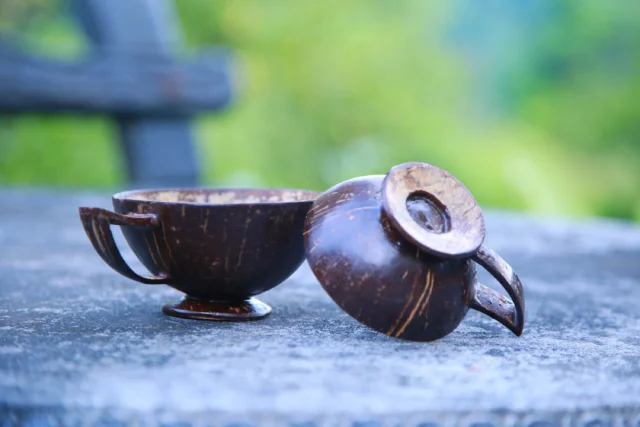 Coconut Husk Cups