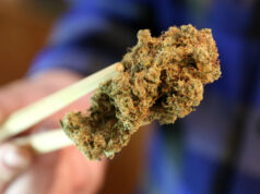 How Online Dispensaries Are Making Cannabis Accessible to All scaled