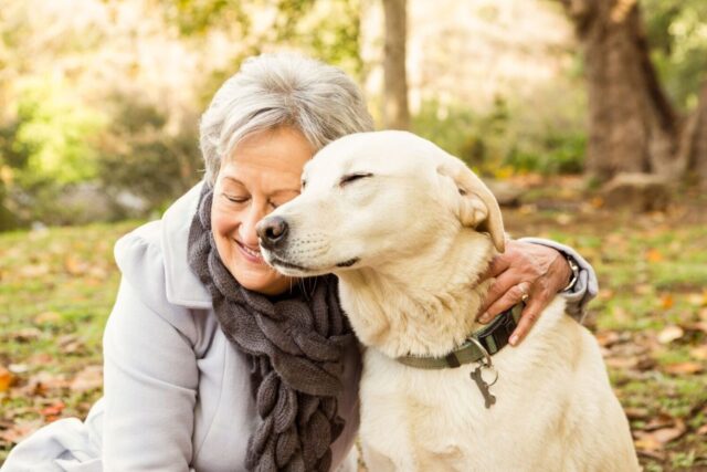 8 Best Companion Dogs: Suitable for Families and Elderly