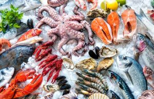 Fresh Seafood Delights