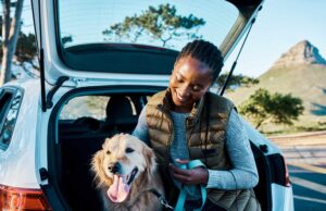 Moving with Pets in the City That Never Stops Tips for Pet Owners