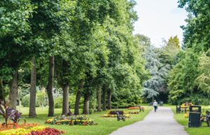 What’s The Most Relaxing Way To Spend A Night In Solihull? Solihull