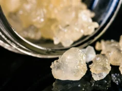 The Unique Characteristics of THCA Diamonds ─ Purity, Potency, and Appearance THCA Diamonds scaled