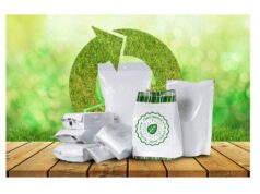 Reducing Environmental Impact: The Role of Green Technology in Packaging The Role of Green Technology in Packaging