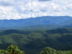 Eight Reasons To Take Your Young Kids on a Vacation Eight reasons to take your young kids on a vacation