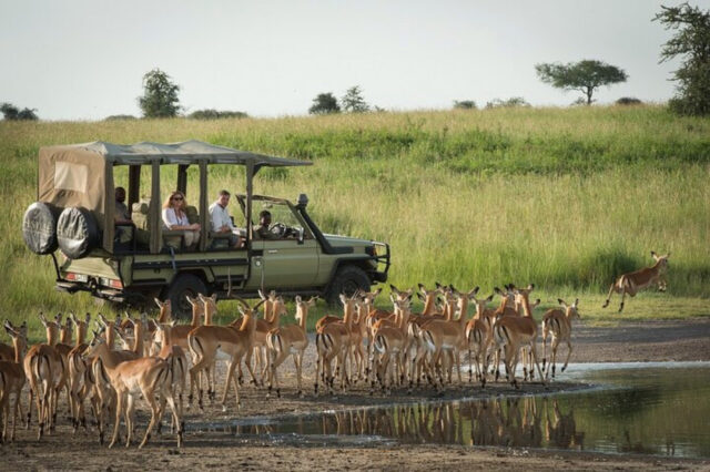 4 day safari escape in Hwange Public Park