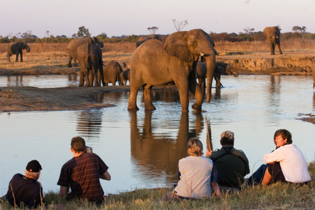 The Wizardry of Hwange Public Park