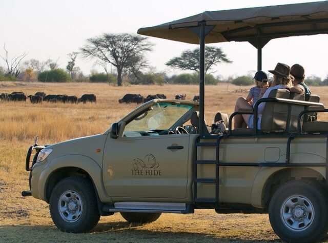 hwange public park safari experience