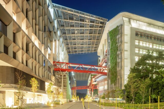 The Social Dimension of Green Urbanism